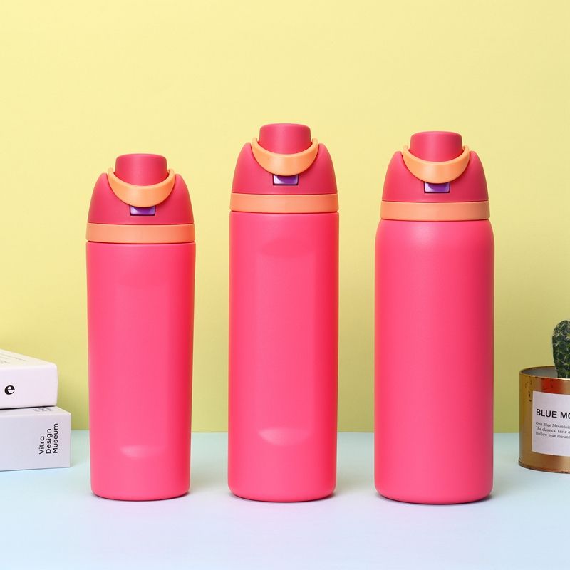 Free Sip Insulated Stainless Steel Water Bottle with Straw for Sports