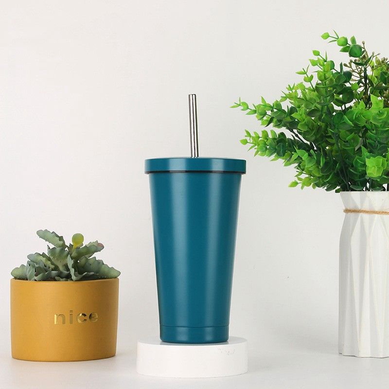 500/750ml Insulated Tumbler with Lid and Straw